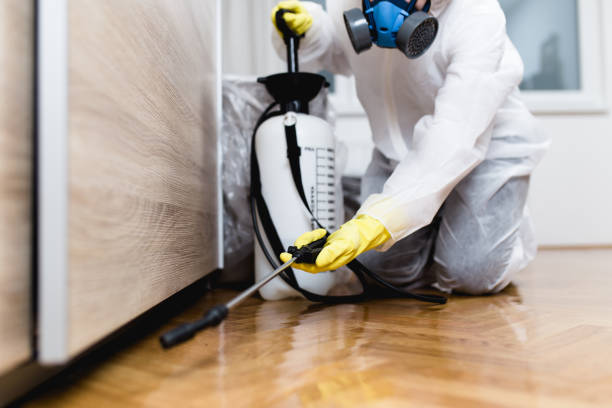 Best Best Pest Control Companies  in Southfield, MI