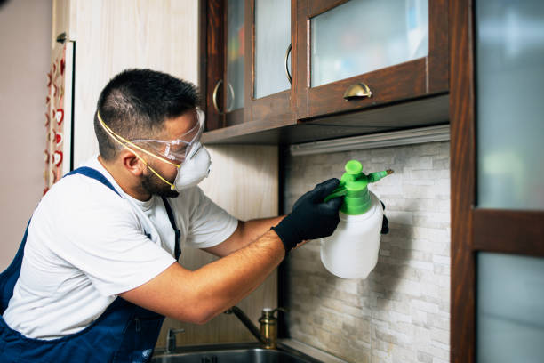 Best Pest Control for Homes  in Southfield, MI