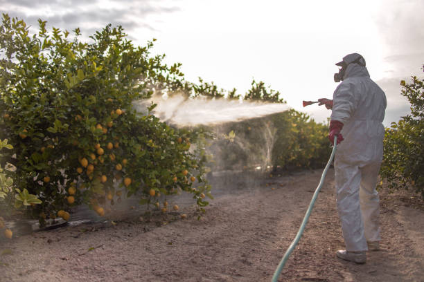 Best Pest Inspection Near Me  in Southfield, MI