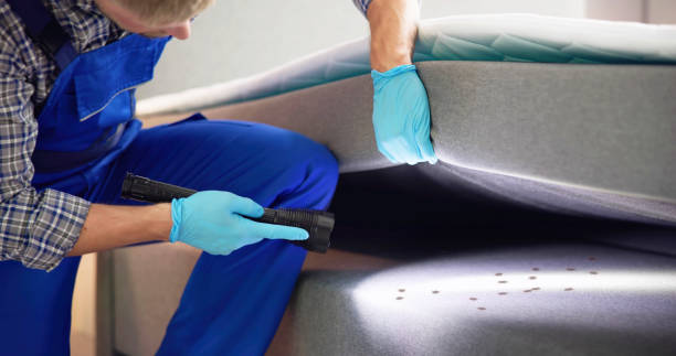 Best Flea Control Services  in Southfield, MI