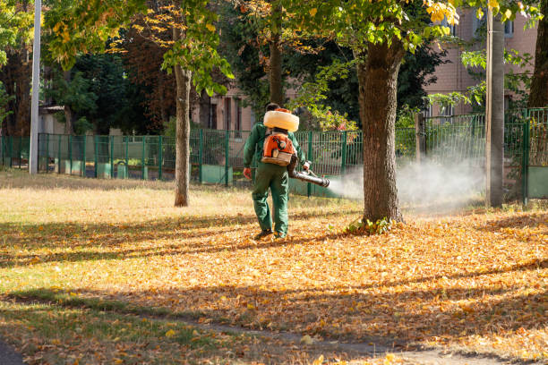Best Local Pest Control Services  in Southfield, MI