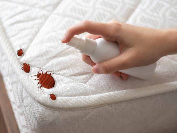 Best Residential Pest Control  in Southfield, MI