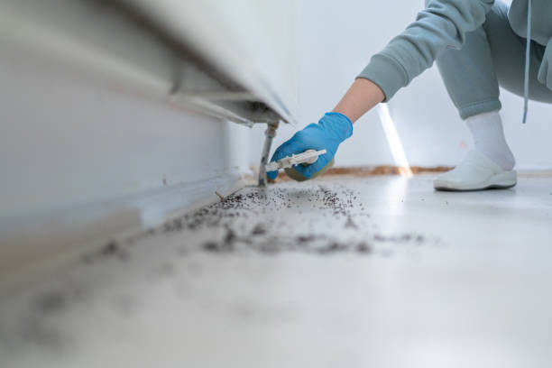 Best Pest Prevention Services  in Southfield, MI