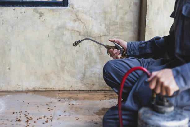 Best Best Pest Control Companies  in Southfield, MI